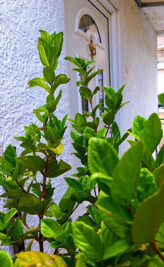 Kalliopi'S Apartment เอเธนส์ ภายนอก รูปภาพ